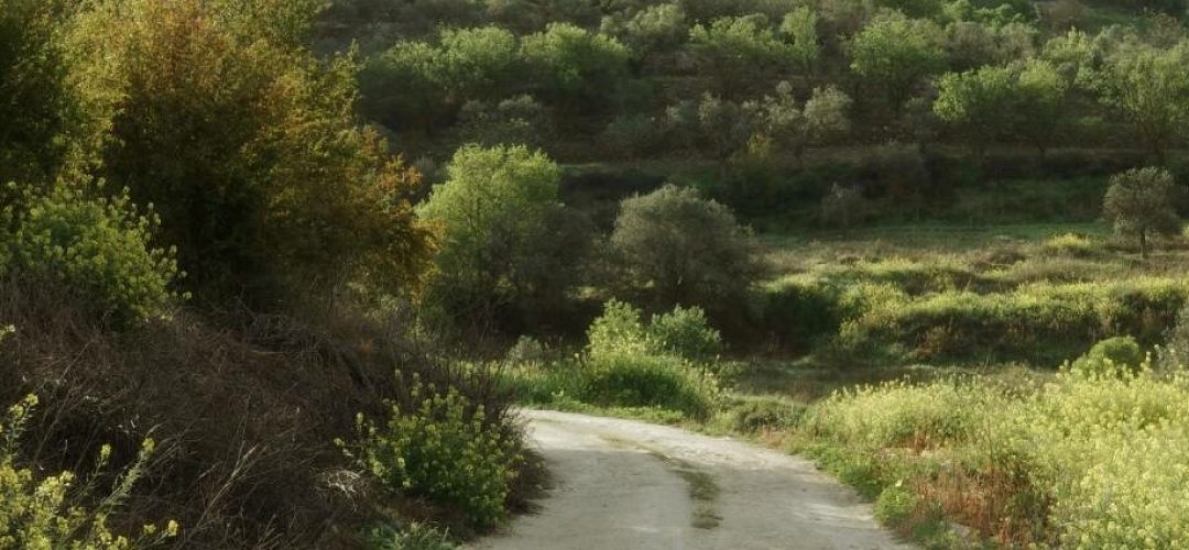 vladimir-khoteev-e9wFBMPhIWk-unsplash(1)